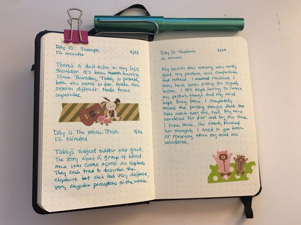 Meditation journal pages